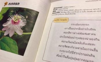 ‘อภัยภูเบศร’แนะนำหนังสือ‘ดอกสร้อยร้อยบุปผา ร้อยคุณค่าสมุนไพรไทย’