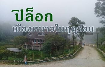 อยากหนีอากาศร้อนที่อบอ้าวในตัวเมืองไปสัมผัสลมหนาวที่ \'ปิล็อก\'