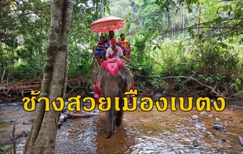 แลนด์มาร์คใหม่เมืองเบตง \'ขี่ช้างสวย\' หลบร้อนชมธรรมชาติ
