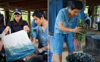 ทำความรู้จัก Fact Sheet  \'Thai Natural Dye Collection\' คอลเลกชั่นผ้าไทยย้อมสีธรรมชาติ