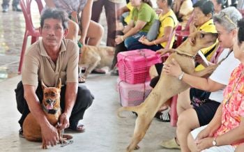 ชาวสัตหีบอุ้ม\'หมา-แมว\'ทำหมันฉีดวัคซีนพิษสุนัขบ้า ป้องกันโรคระบาดหน้าร้อน