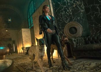 ฮัลลี่ เบอร์รี่ ทุ่มสุดตัว เทรนนิ่งหมาพันธุ์ดุใน  \'JOHN WICK: CHAPTER 3 – PARABELLUM\'