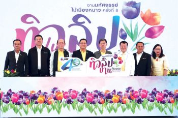 มหัศจรรย์ไม้เมืองหนาว ทิวลิปบานที่ระยอง
