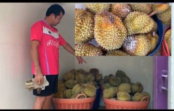 พ่อค้าทุเรียนหัวเสียร้องสื่อถูกหลอกให้ซื้อทุเรียนอ่อนกว่า 300 กิโลกรัม