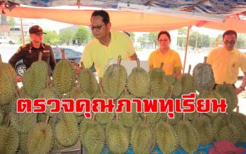 เกษตรฯระยองลุยตรวจคุณภาพทุเรียนหลังถูกโวยหลอกขายทุเรียนอ่อน นทท.