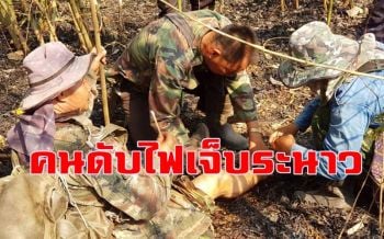 เผาไม่เลิก! จนท.-อาสาสมัครดับไฟป่าเจ็บระนาวทั้งสำลักควัน-รถล้ม