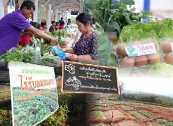 บทความพิเศษ : ‘บ้านก้างปลา’  ต้นแบบลดปัญหาเขาหัวโล้น