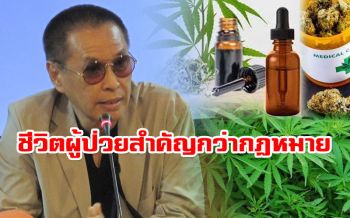 ผู้ทรงคุณวุฒิคณะแพทย์จุฬาฯลั่นคนไทยต้องมีสิทธิใช้กัญชารักษาโรค