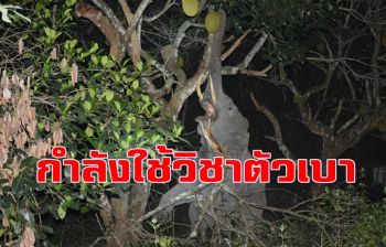 ฮั่นแน่จับได้แล้ว! มิน่าขนุนหายไปไหนที่แท้หัวขโมยอยู๋นี่เอง
