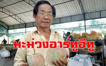 เกษตรกรดีเด่นเมืองระยอง ปลูกมะม่วง \'อาร์ทูอีทู\' ส่งออก