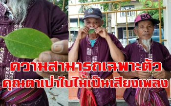 ความสามารถเฉพาะตัว!  \'คุณตา\'เมืองช้าง\'เป่าใบไม้\'เป็นเพลงผสานดนตรีไทย (คลิป)