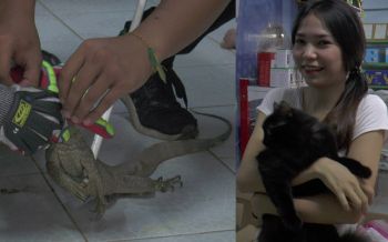 \'ตัวเห้น้อย\'บุกร้านดาวเทียม! ประจันหน้าแมวเหมียว-ซื้อเลขที่บ้านเสี่ยงโชค