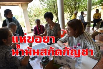 ผู้ป่วยแห่ลงทะเบียนขอรับยา \'น้ำมันสกัดกัญชา\' ที่มูลนิธิข้าวขวัญ