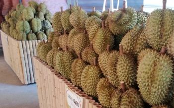 \'วัดท่าไม้\'ชวนมากินทุเรียนฟรี..ไม่อั้น ในวันแรงงานแห่งชาติ