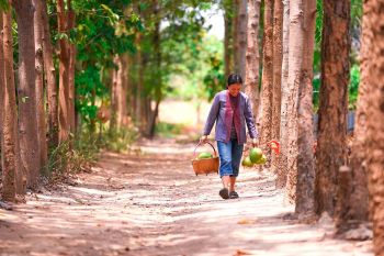 โลกสดใส กายสุขสันต์ : กลับบ้านเรารักรออยู่  ‘โชว์ แชร์ เชื่อม’ของ สสส.