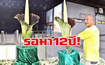 \'ดอกซากศพ\'บานแล้ว! \'สวนนงนุช\'สุดปลื้ม เผยรอมา12ปีถึงได้ชม