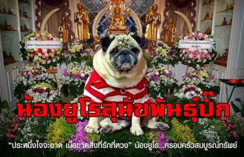 ฮือฮาทั่วเมืองกาญจน์! เศรษฐีดังทำบุญสวดอภิธรรม 3 คืนให้ \'น้องยูโร\' สุนัขพันธุ์ปั๊ก (ชมคลิป)