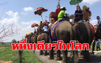 หนึ่งเดียวในโลก!! งานบวชนาคช้างเอกลักษณ์ขึ้นชื่อเมืองสุรินทร์