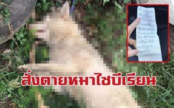 แค้นหมาขี้หน้าบ้าน!! เขียนจดหมายสั่งตาย \'วางยาเบื่อ-จับขังตากแดด\' สลด