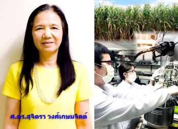 นักวิจัยไทยค้นพบวิธีลดต้นทุนการผลิตเอทานอลจากวัสดุทางการเกษตร