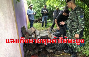 พญาเสือแกะรอยขบวนการค้าไม้พะยูง พบมีนายทุนอยู่เบื้องหลัง