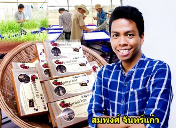 ‘ม.ขอนแก่น’พัฒนาสายพันธุ์ข้าวไร่ ยกระดับรายได้คนอีสาน-ดึงลูกหลานคืนถิ่น