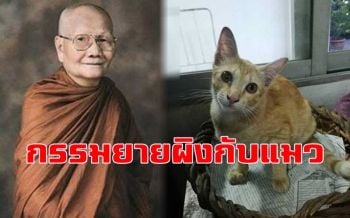กฎแห่งกรรมของ \'ยายผิงกับแมว\' เรื่องเล่าจาก \'หลวงพ่อจรัญ ฐิตธมฺโม\'