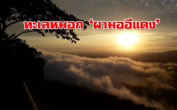 ทะเลหมอก!! ‘ผามออีแดง’ นทท.แห่ชมวิว 360 องศาสัมผัสอากาศเย็นสบาย