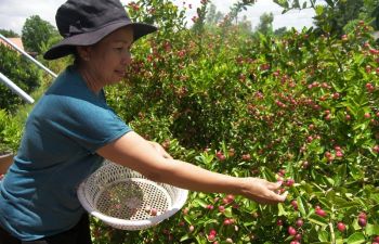 \'อดีตกำนัน\' น้อมนำพระราชดำริปรัชญาเศรษฐกิจพลิกผืนดินทำเกษตรผสมผสาน ได้ผลดี
