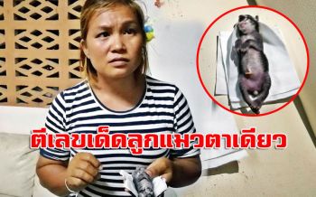แห่ตีเลขเด็ด ‘ลูกแมวตาเดียว’ โบราณเชื่อนำโชค