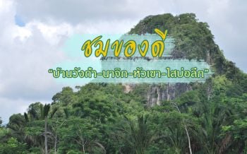 ชมของดี \'บ้านวังถ้ำ-นาจิก-หัวเขา-ใสบ่อลึก\' จ.ตรัง