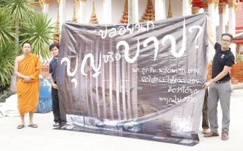 แฉ‘ธุรกิจจับสัตว์ปล่อย’อ้างบุญ เงินสะพัดร้อยล้าน บาปหนักสัตว์‘อดตาย’เป็นเบือ