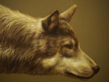 แหวกฟ้าหาฝัน : Young Slovakian Artist  in Nedbalka Museum of Modern Art