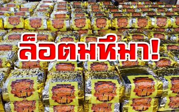 จับแก๊งขน‘ไอซ์’ข้ามชาติ ยึดของกลางพันโล มูลค่า2พันล.