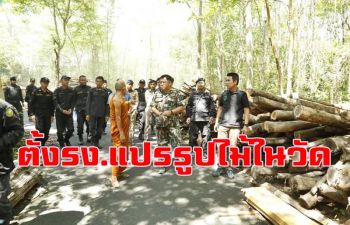 ผงะ! \'ชุดพญาเสือ\' บุกตรวจไม้แปรรูปหวงห้ามพบตั้ง รง.ภายในวัดภูหมากพริก