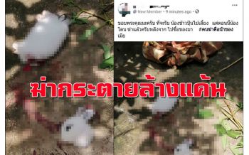 หดหู่ใจ!! ตัดคอ ‘กระต่าย’ ล้างแค้นให้ ‘นกกรงหัวจุก’