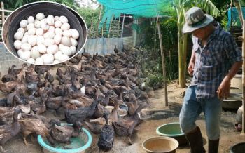 ดาบตำรวจหนุ่มหัวใจเกษตร! เลี้ยงเป็ดไข่ไล่ความจนชีวิตพอเพียง