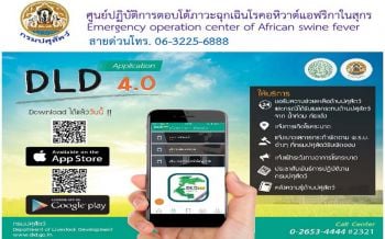 ปศุสัตว์ตั้งวอร์รูมอหิวาต์แอฟริกาในสุกร ห้ามนำเข้าผลิตภัณฑ์หมู11ชนิดจาก19ประเทศ