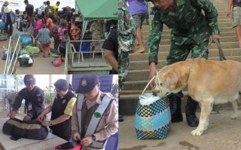 เข้มสกัด‘อหิวาต์หมู’ทุกด่านชายแดน เฝ้าระวังซากลูกสุกรทำ‘หมูหัน’