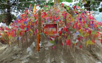 ‘นครพนม’ สืบสานประเพณีโบราณ ‘บุญซำฮะเมือง’ เสริมสิริมงคล