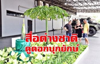 สวนนงนุชพัทยาพาคณะสื่อมวลชนเนเธอร์แลนด์-ไทยชม \'ดอกบุกยักษ์บาน\'