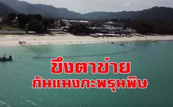 นักท่องเที่ยวเล่นน้ำอุ่นใจ! \'เกาะสมุย\' ขึงตาข่าย \'หาดละไม\' กันแมงกะพรุนพิษทำร้าย