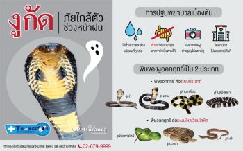 ‘งูกัด’…ทำอย่างไร.? แนะเจ้าของ‘สัตว์เลี้ยง’ระวังภัยช่วงหน้าฝน