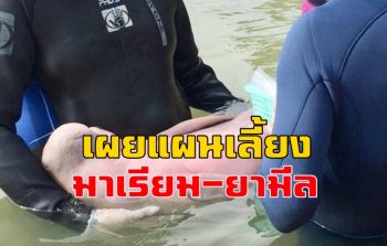 ทช.เผยแผนเลี้ยงลูกพะยูน \'มาเรียม-ยามีล\' ให้แข็งแรงก่อนปล่อยคืนธรรมชาติ