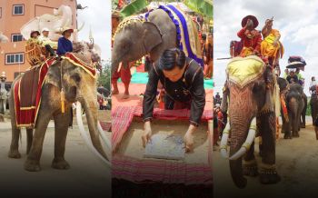 สำนักสงฆ์ฯนำช้าง50เชือกร่วมพิธีวางศิลาฤกษ์ \'พลอยทองคำ-พลายทองแท่ง\'ดึงเชือกยกฉัตร