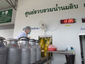 รายงานพิเศษ : ไทยนิยม ยั่งยืน หนุน...สหกรณ์ มั่นคง  ฟาร์มพิมายยิ้มยกมาตรฐานน้ำนมดิบสู่ผู้บริโภค