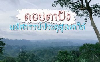 อันซีนประตูสู่ภาคใต้! ‘ดอยตาปัง’ ชมพระอาทิตย์ขึ้นท่ามกลางทะเลหมอก