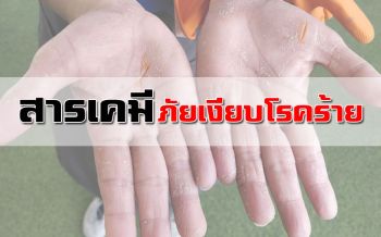 อย่ามองข้าม! ใช้สารเคมี‘ผัก-ผลไม้’อันตรายภัยเงียบโรคร้าย