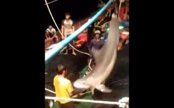 \'ศรชล.\' แจงคลิปจับ \'โลมาปากขวด\' เรือประมงชาวมาเลย์
