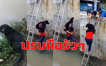 ปรบมือรัวๆ! สท.ภูเก็ตช่วย ‘เจ้าตูบ’ ตกคลองแบกขึ้นฝั่งทุลักทุเล